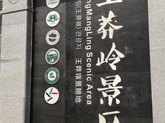 -王莽岭风景区