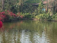 -海南热带野生动植物园