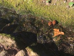 -阿尔罕布拉宫