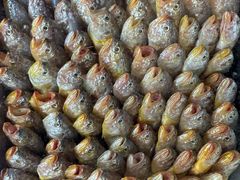 -老渔家特色海味馆(金海中路店)