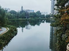 -渭滨公园