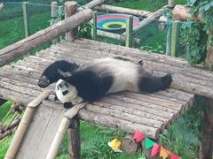 -大连森林动物园