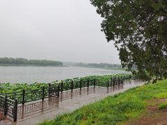 -素心小筑(后沙裕镇店)