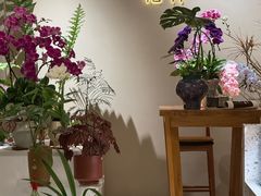 -花神·轻食简餐·咖啡馆·花卉绿植(荷兰花卉小镇店)