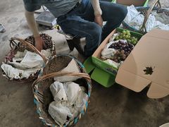 -马陆小张葡萄园农家乐