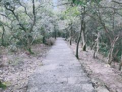 -灵顺寺