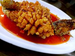 -协和菜馆(凤凰街店)