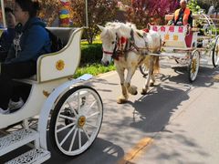 -石家庄市动物园