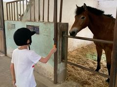 -松声马术俱乐部