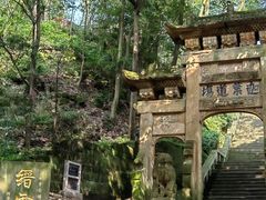 -缙云山景区