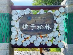 -莫尔道嘎国家森林公园