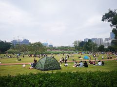 -牛岗山公园