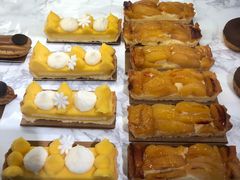 -Madeleine玛德琳(永平里店)