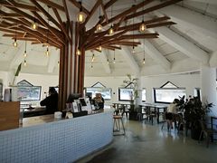 -ChanDu躔度咖啡(灯塔店)