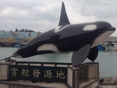-白沙湾海滩