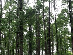 -上海交通大学(闵行校区)