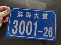 -华润深圳湾体育中心-“春茧” 体育馆