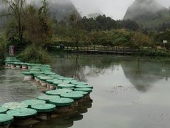 -靖西鹅泉风景区