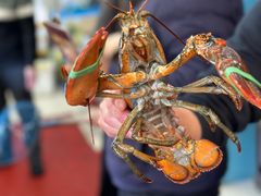 -金海湾海鲜排档(朱家尖店)