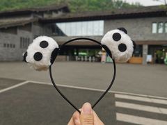 -都江堰中华大熊猫苑