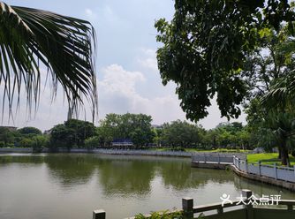 长洲的河涌旁有一个中山公园，绿化做的很好，沿路有各种