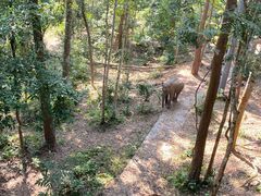 -野象谷景区