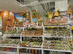 -KKV(重庆光环购物公园店)
