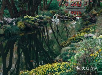 春天来过,那时候的莫奈花园令人流连忘返