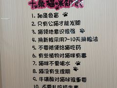 -唐小姐の私宠·宠物洗护美容·撸猫馆·购宠(周浦万达旗舰店)