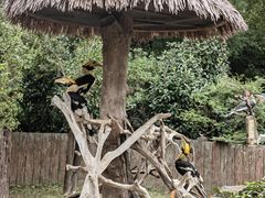 -上海野生动物园