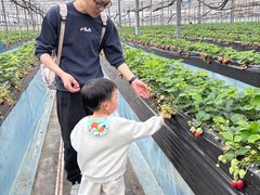 -苏州太湖西山岛开心农场