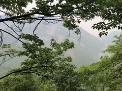 -鹿院坪生态旅游景区