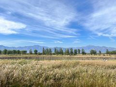 -野鸭湖国家湿地公园