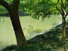 -杭州半山国家森林公园