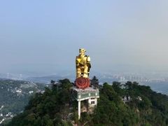 -大金鹰园