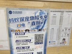 -芭比堂动物医院·心脏科·老年急重症·夜诊·吉雅分院