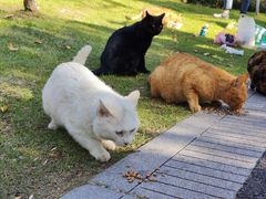 -玄武湖景区-情侣园游乐场