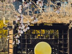 -三里河公园