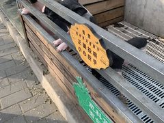 -北京鹿世界主题园