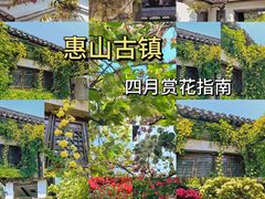 -惠山古镇·寄畅园