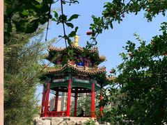 -西清公园