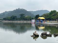 -顺峰山公园