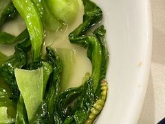 -云中小雅