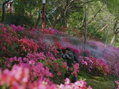 -老门东历史文化街区