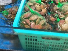 -七鲜超市(万向城店)