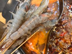 -川成串·自助串串香火锅(朝阳店)