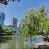 国庆游湖笔记之金桥碧云office park园区