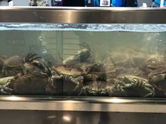 -盒马鲜生(大成店)