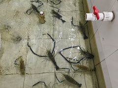 -七的湖·江南蟹舫·阳澄湖农家菜(蟹舫苑店)