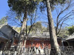 -潭柘寺景区